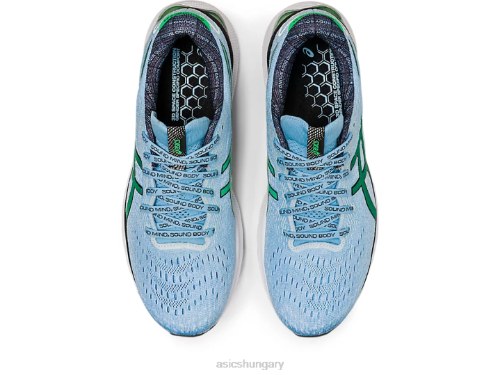 asics sarkvidéki égbolt/koriander magyarország N2T21014