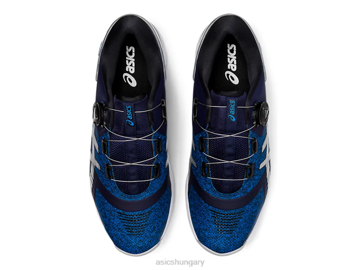 asics páva/tiszta ezüst magyarország N2T22012