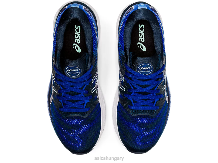 asics francia kék/friss jég magyarország N2T23899