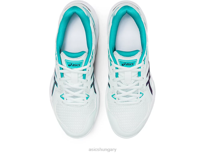 asics nyugtató tengeri/éjszakai árnyék magyarország N2T23108